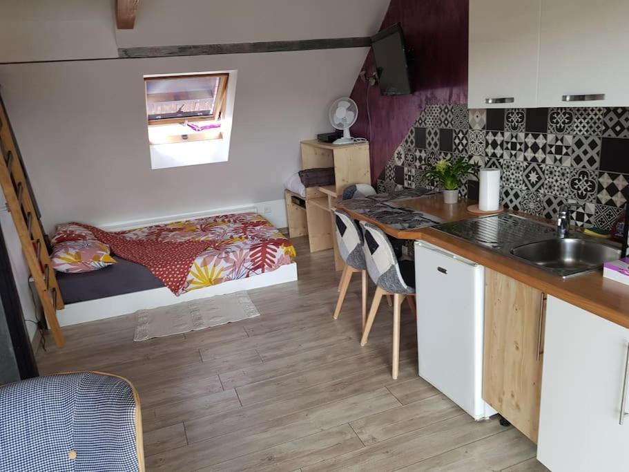 Kry Apartment Strasbourg